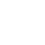 リーダー気質